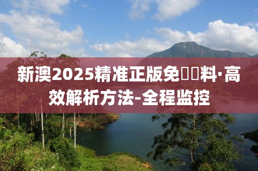 2025新澳精准正版免費資料或2025年正版资料免费,全面释义、解释和落实